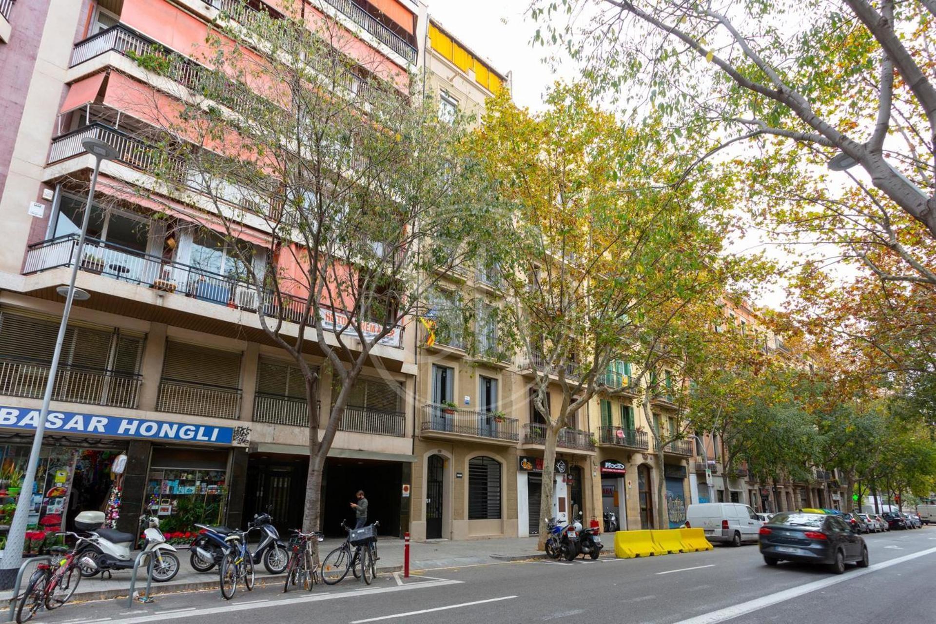 Moderno Apartamento En Eixample Barselona Dış mekan fotoğraf